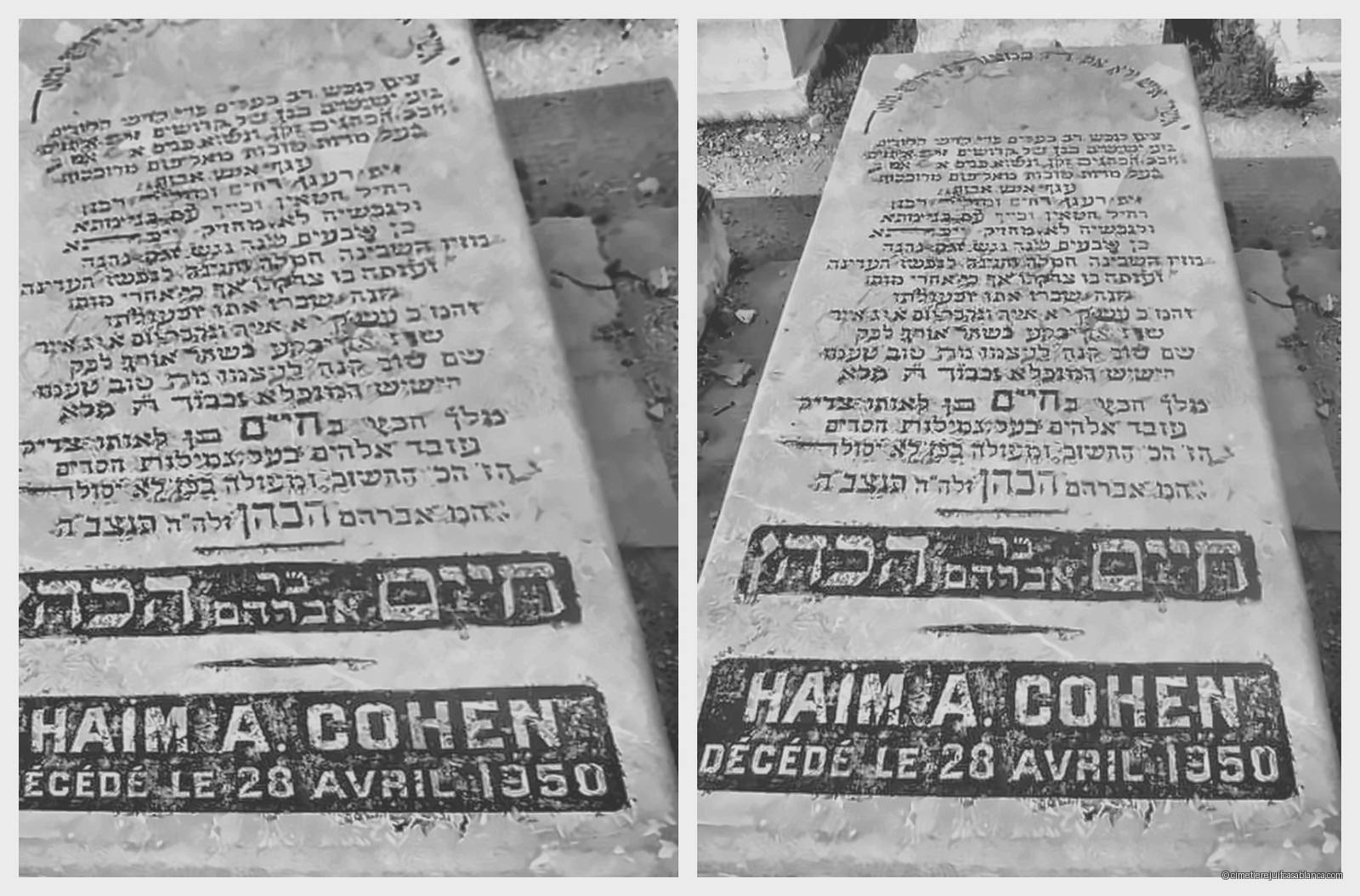 Pierre tombale de haim cohen