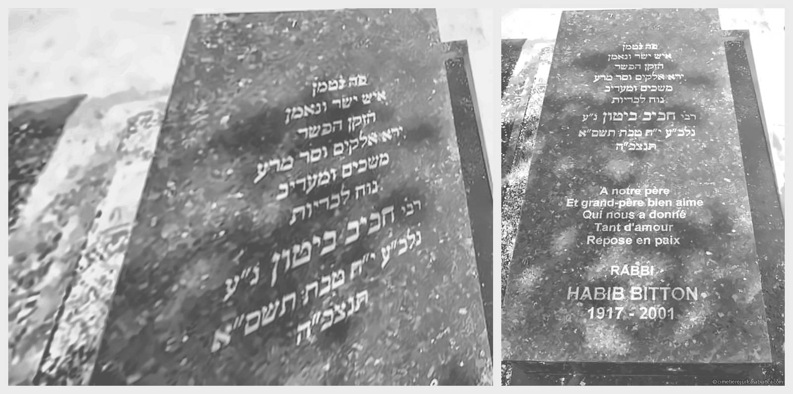 Pierre tombale de habib bitton