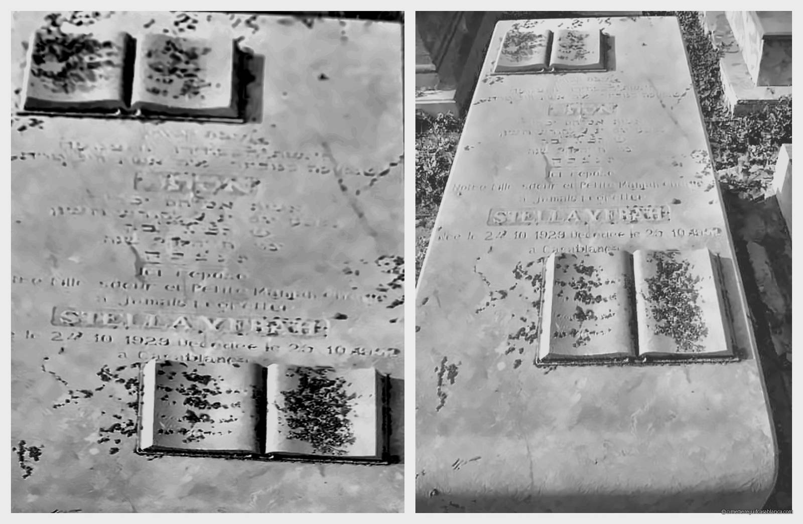 Pierre tombale de stella yfrah