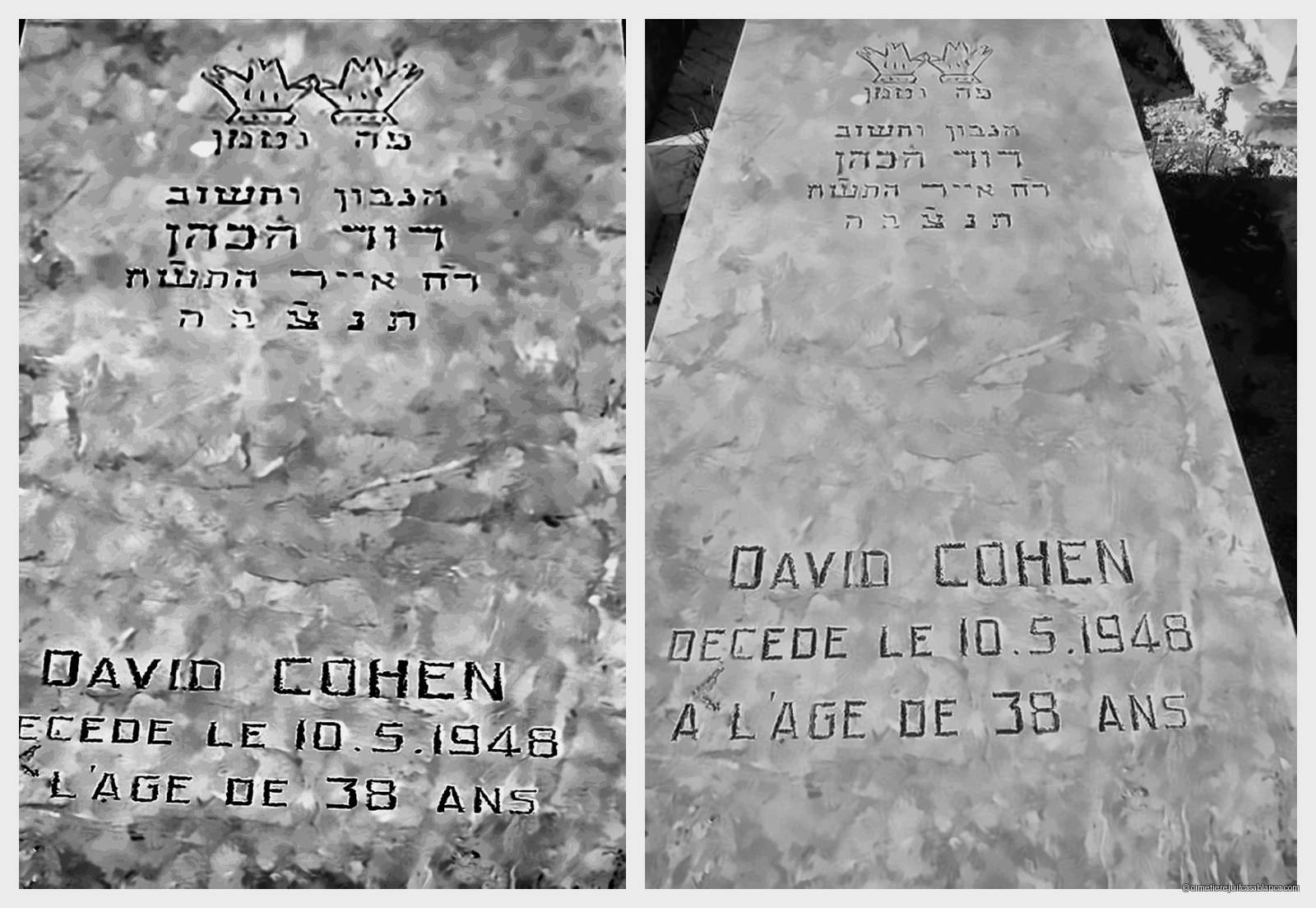 david cohen, Casablanca BenM'Sik