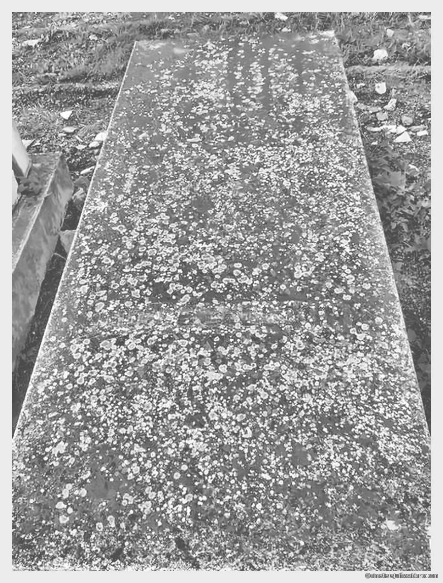 Tombe sans nom