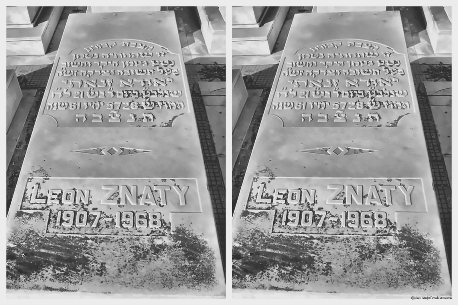 Pierre tombale de leon znaty