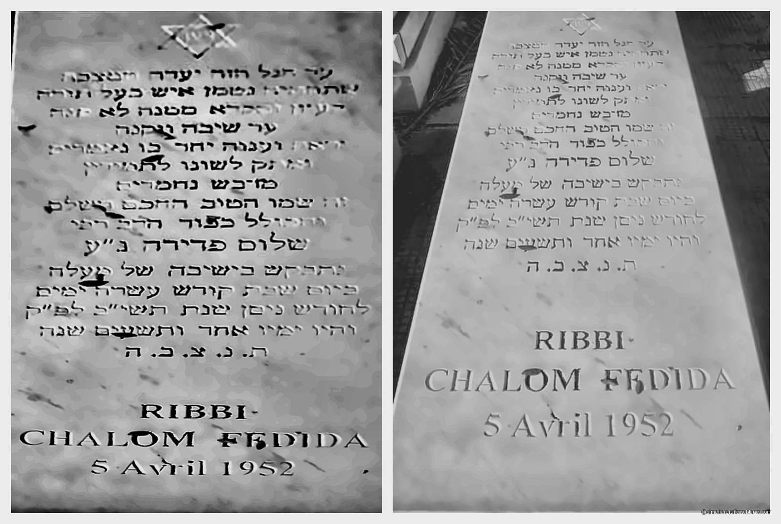 Pierre tombale de chalom fedida