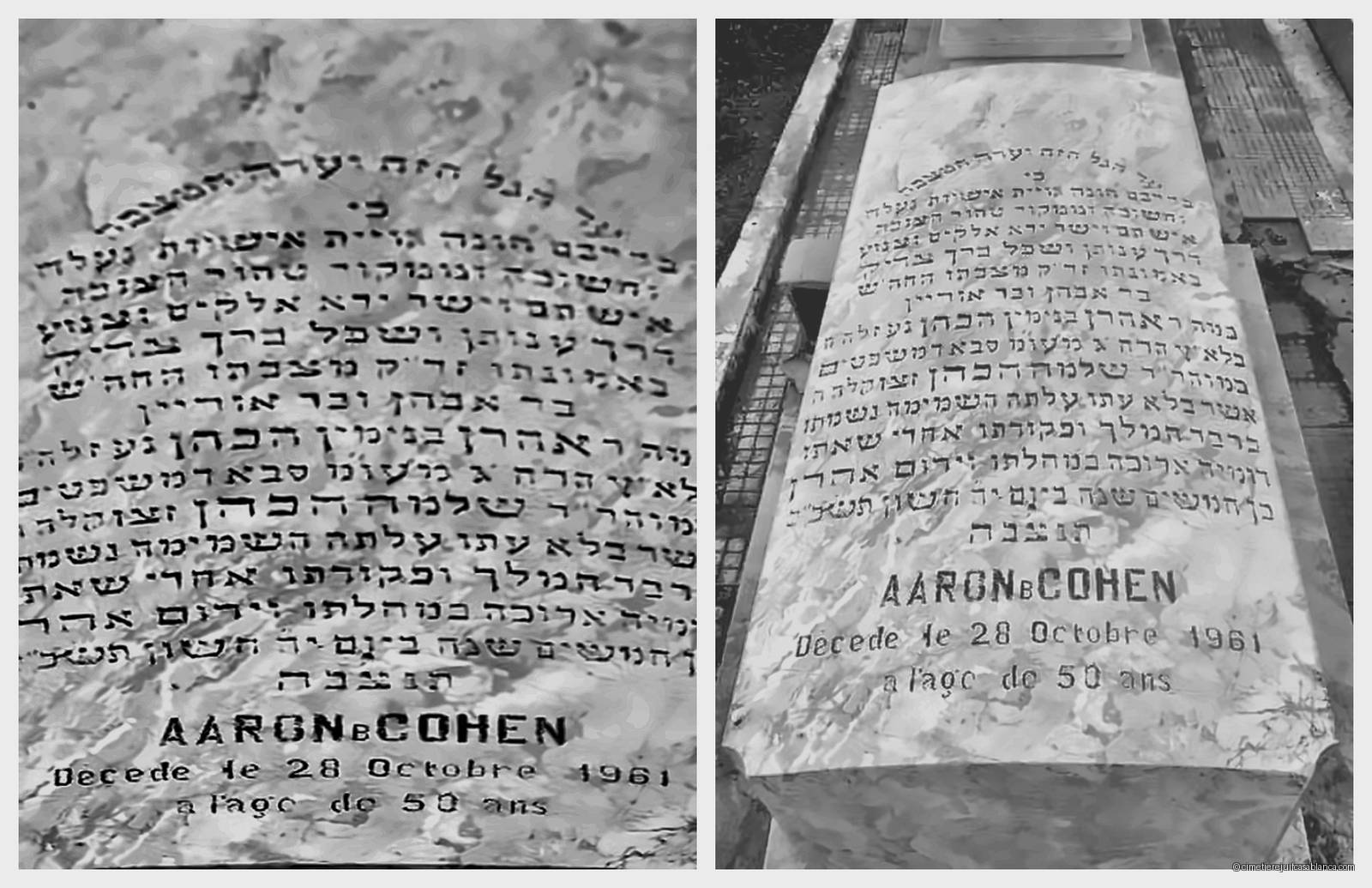 Pierre tombale de aaron cohen