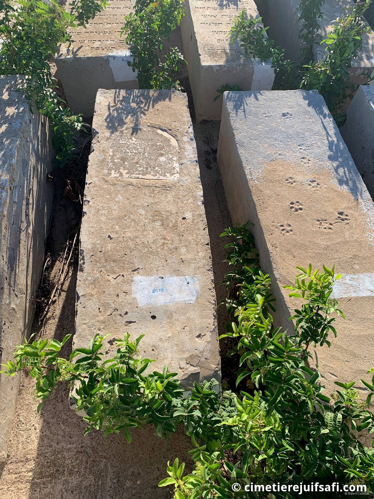 Tombe sans nom