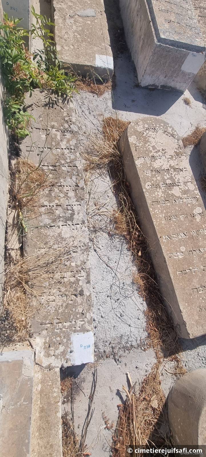 Tombe sans nom
