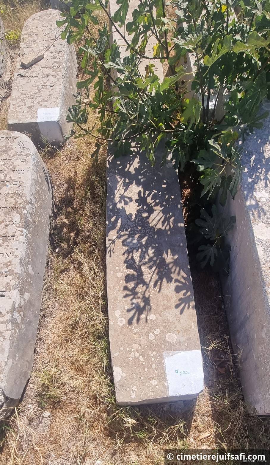 Tombe sans nom