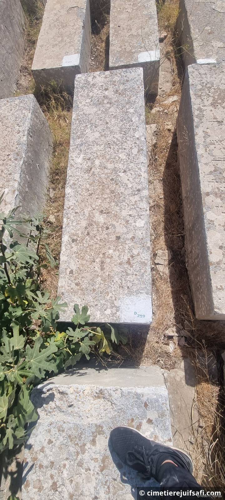 Tombe sans nom