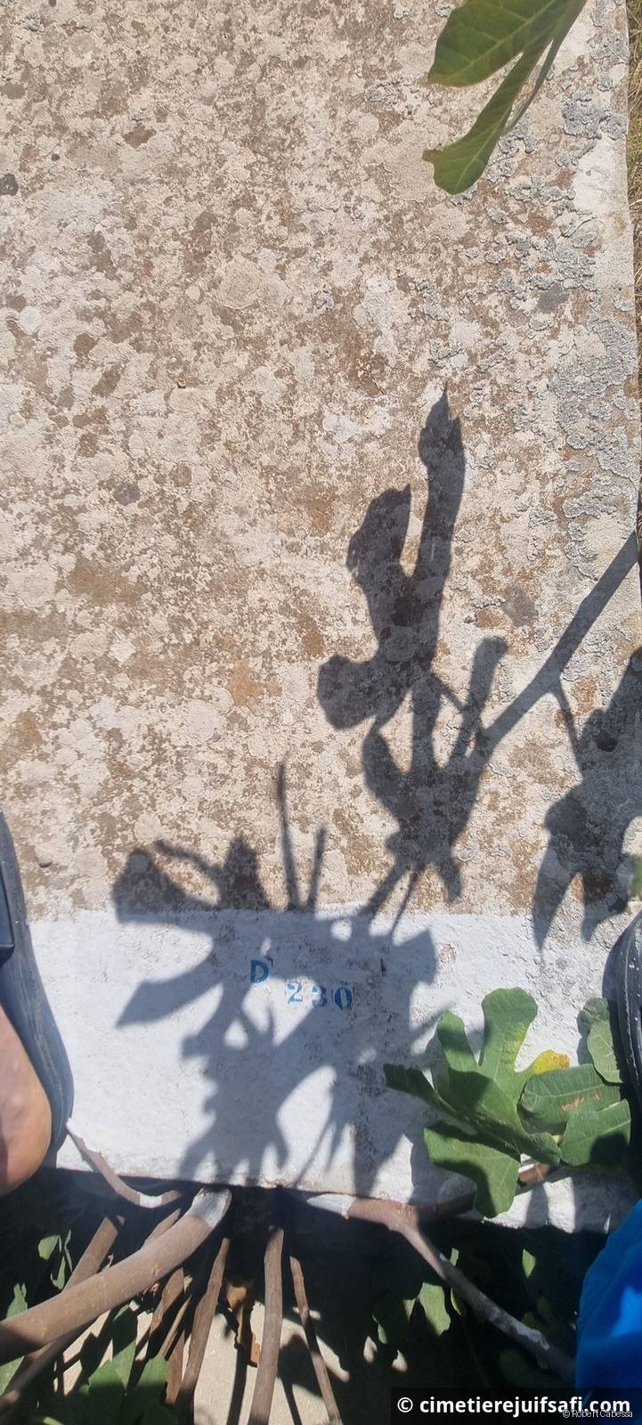 Tombe sans nom