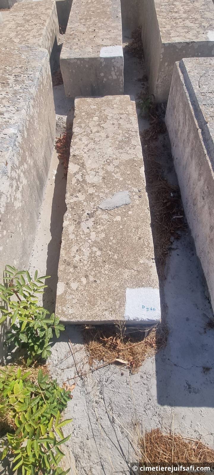 Tombe sans nom