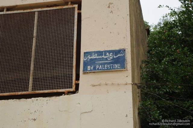 maroc meknes a cote cimetiere juif rue de palestine ZBL 8228 (190)