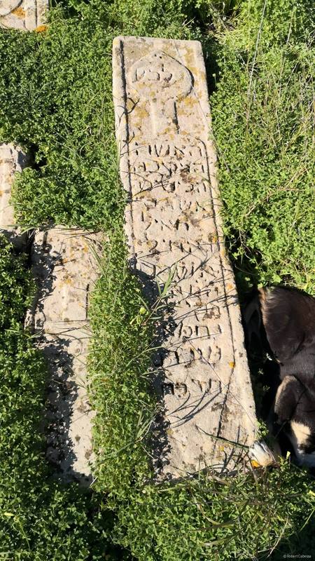 328514805 696584782012463 3355517669197007084 n tombe de mme yehiel Yoliel de 1867 תרכח